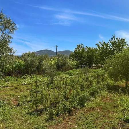 Holiday home Poolincluded - Holiday Anima Galovac (Zadar)