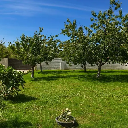 Poolincluded - Holiday Anima